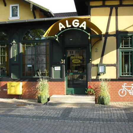 Hotel Alga Ούστκα Εξωτερικό φωτογραφία